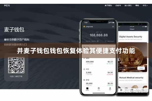 并麦子钱包钱包恢复体验其便捷支付功能